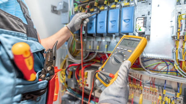Best Electric Panel Repair  in Pelzer, SC